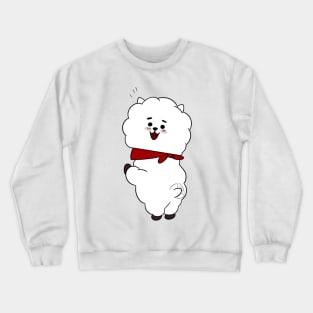 Groovy RJ Crewneck Sweatshirt